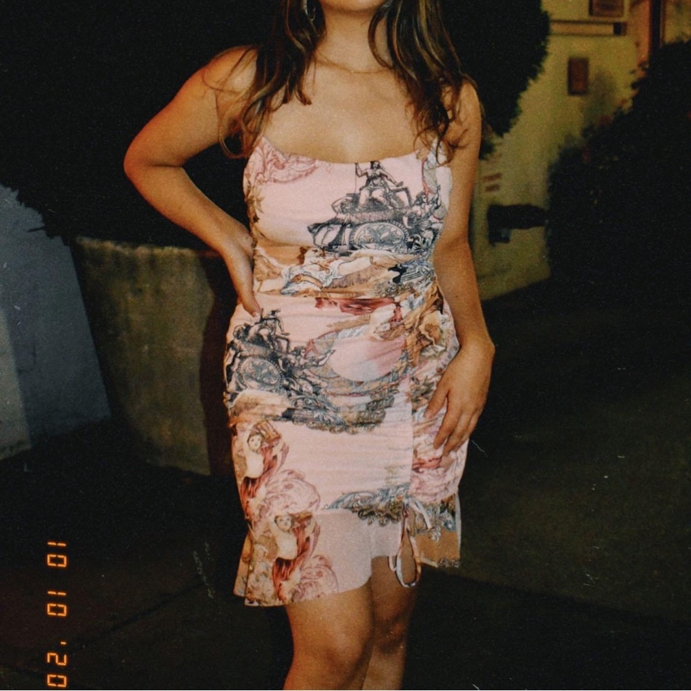 Peach Mesh Print Dress (Not see through)